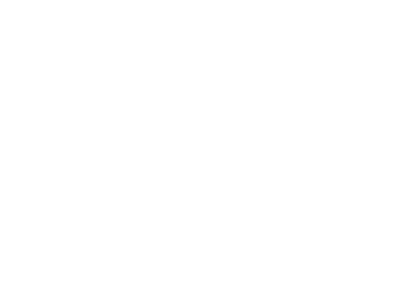 South Point Hero Logo